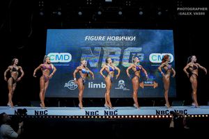 FIGURE НОВИЧКИ